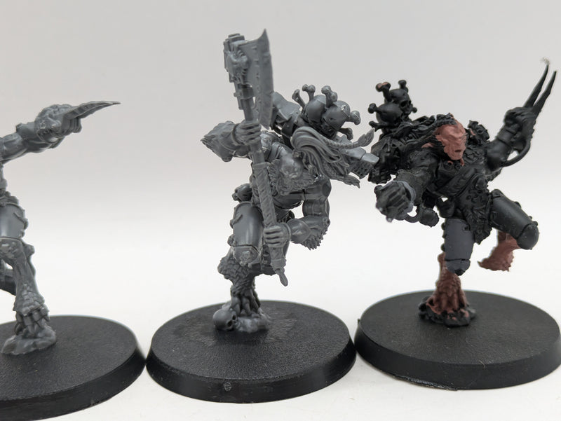 Warhammer 40k: Space Marine Space Wolves Wulfen (AO018)