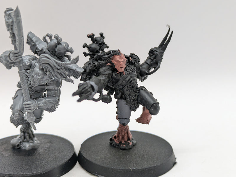 Warhammer 40k: Space Marine Space Wolves Wulfen (AO018)