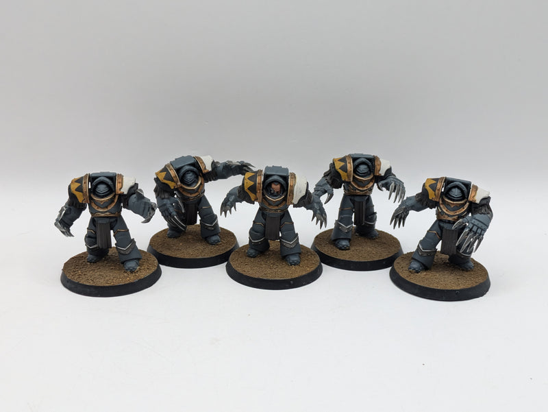 Warhammer Horus Heresy: Legiones Astartes Space Wolves Cataphractii Terminators (BA185)