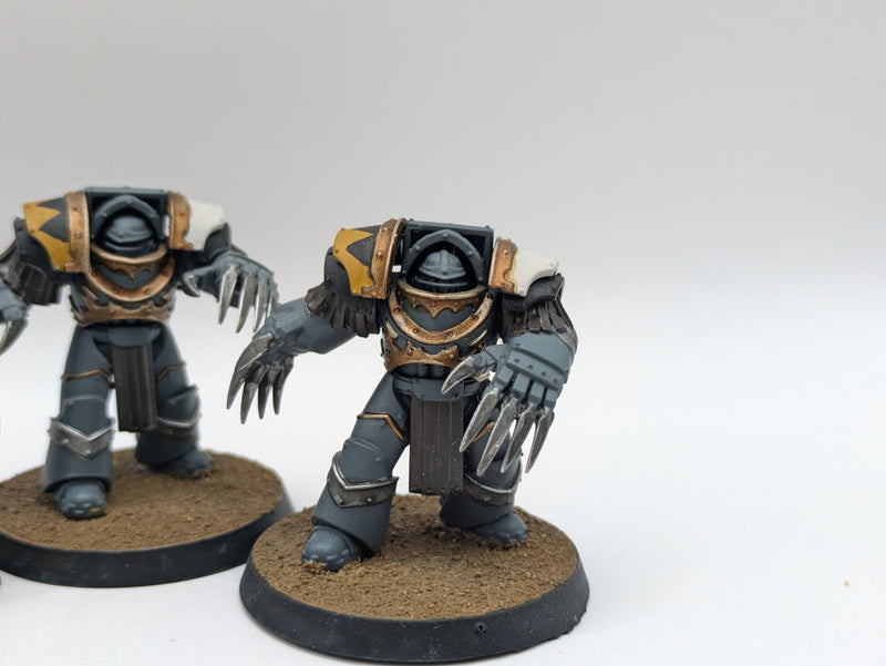 Warhammer Horus Heresy: Legiones Astartes Space Wolves Cataphractii Terminators (BA185)