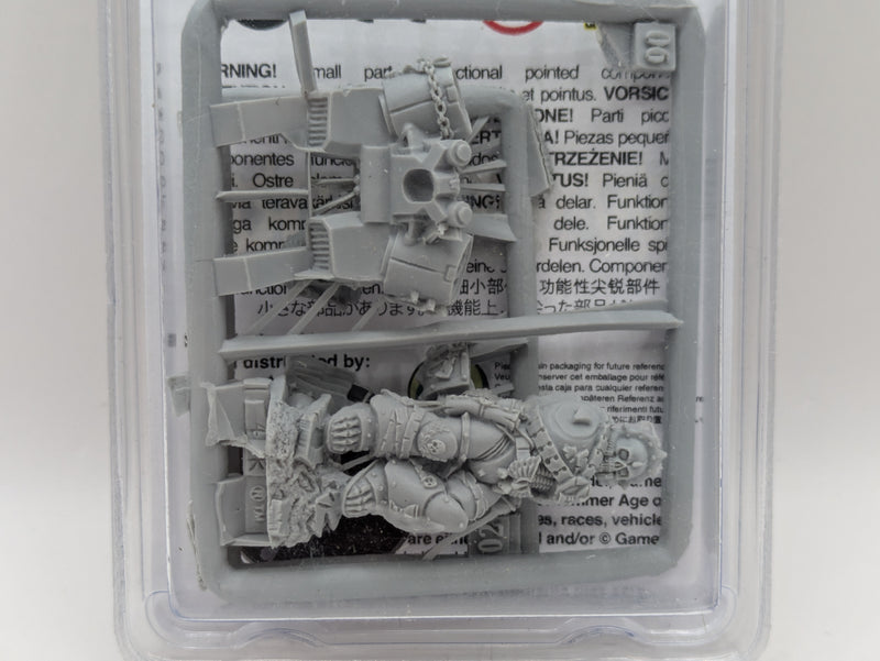 Warhammer 40k: Space Marines Lemartes Guardian of the Lost Finecast BNIB (AW067)