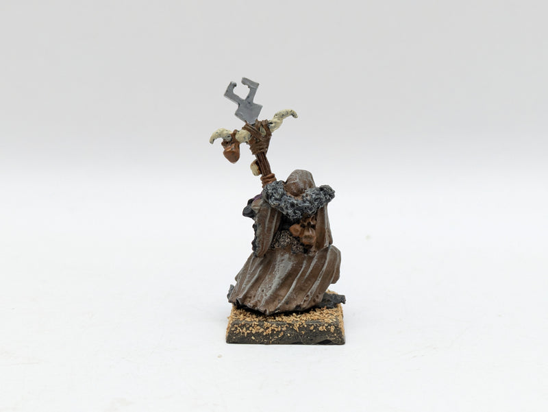 Warhammer The Old World: Warriors of Chaos Metal Plague Priest (AI228)