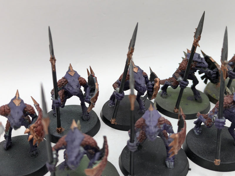 Warhammer Age of Sigmar: Seraphon Saurus Warriors (AJ134)