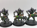 Warhammer 40k: Necron Immortals (AW105)