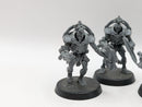 Warhammer 40k: Necron Triarch Praetorians (AJ057)