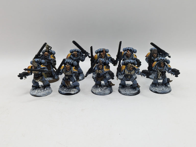 Warhammer 40k: Space Marine Space Wolves Blood Claws (AZ069)