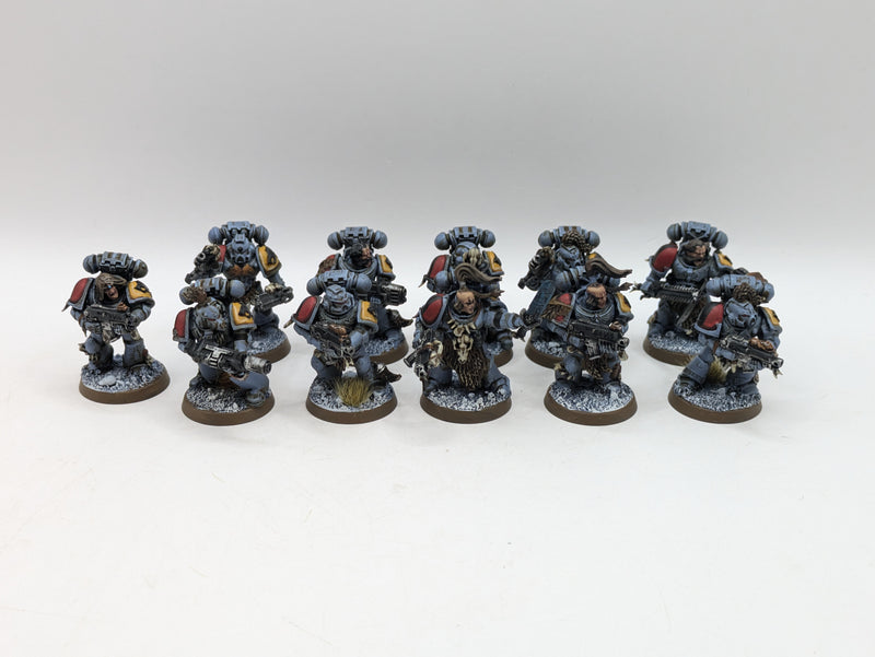 Warhammer 40k: Space Marine Space Wolves Grey Hunters (BC022)