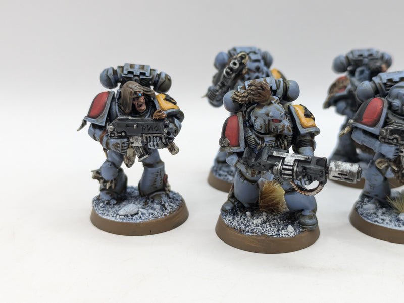 Warhammer 40k: Space Marine Space Wolves Grey Hunters (BC022)