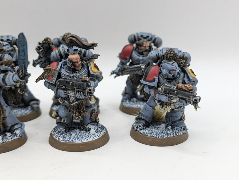 Warhammer 40k: Space Marine Space Wolves Grey Hunters (BC022)