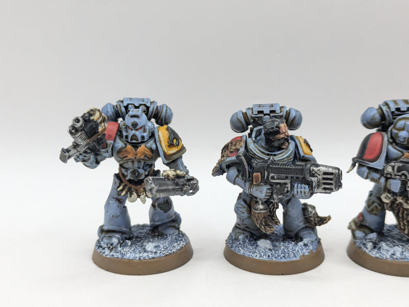 Warhammer 40k: Space Marine Space Wolves Grey Hunters (BC022)