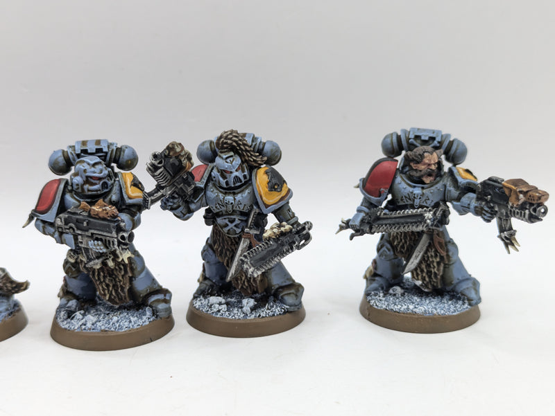 Warhammer 40k: Space Marine Space Wolves Grey Hunters (BC022)