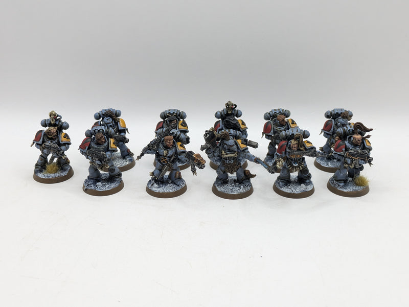 Warhammer 40k: Space Marine Space Wolves Grey Hunters (AI279)