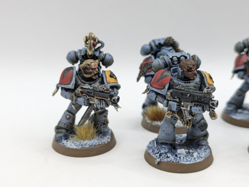 Warhammer 40k: Space Marine Space Wolves Grey Hunters (AI279)