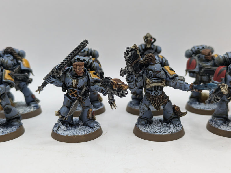 Warhammer 40k: Space Marine Space Wolves Grey Hunters (AI279)