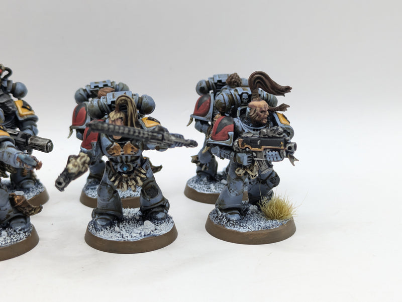 Warhammer 40k: Space Marine Space Wolves Grey Hunters (AI279)