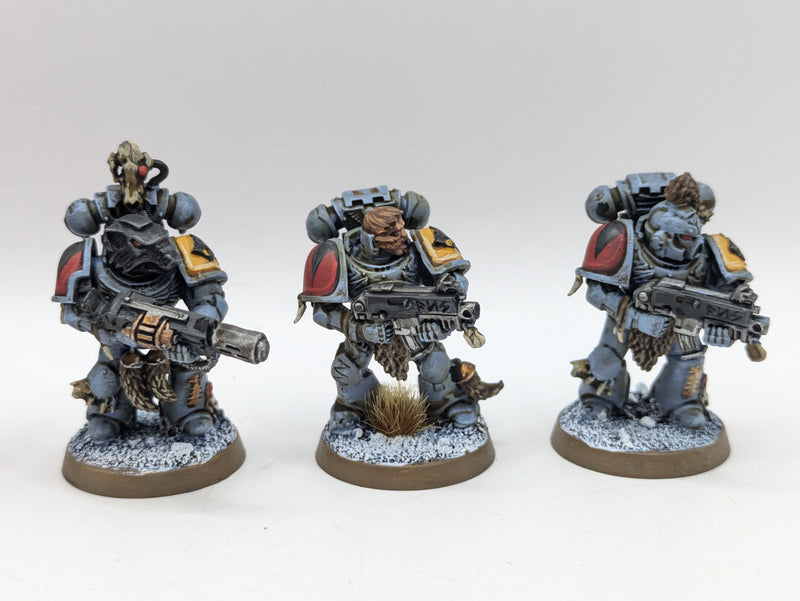 Warhammer 40k: Space Marine Space Wolves Grey Hunters (AI279)