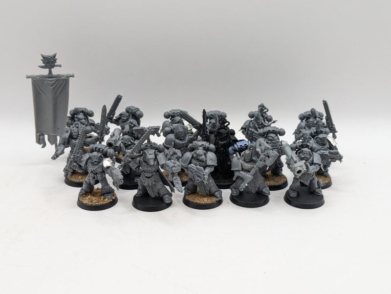 Warhammer 40k: Space Marine Space Wolves Grey Hunters (AE089)