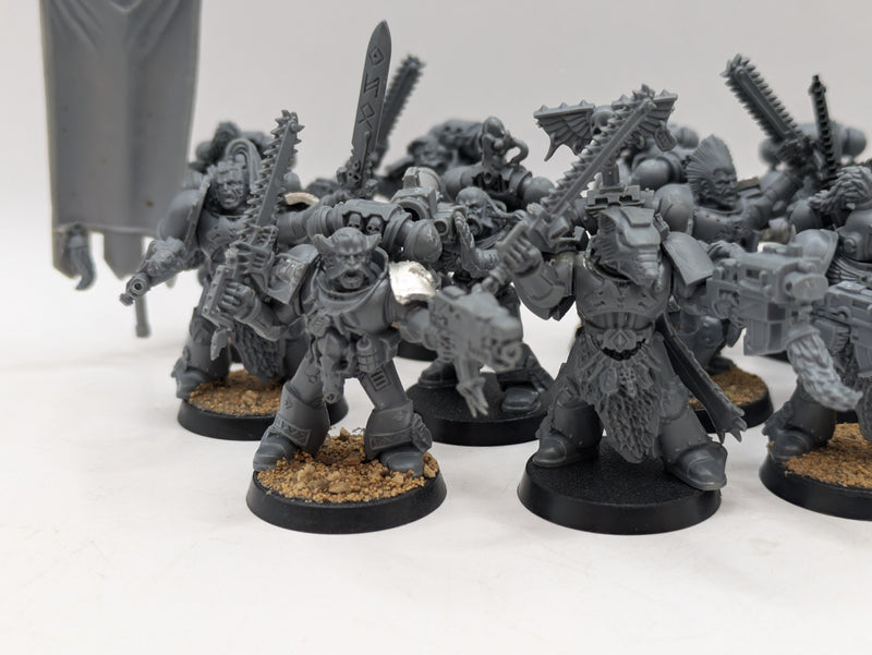 Warhammer 40k: Space Marine Space Wolves Grey Hunters (AE089)