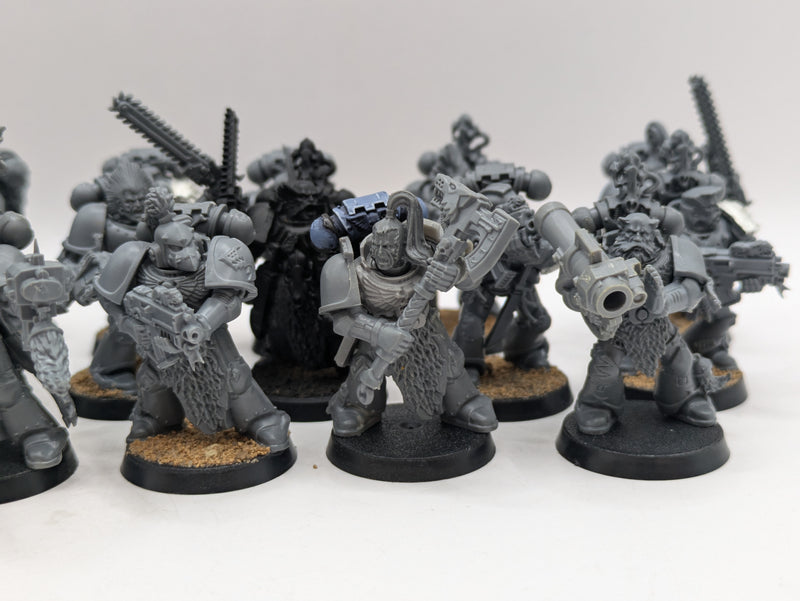 Warhammer 40k: Space Marine Space Wolves Grey Hunters (AE089)