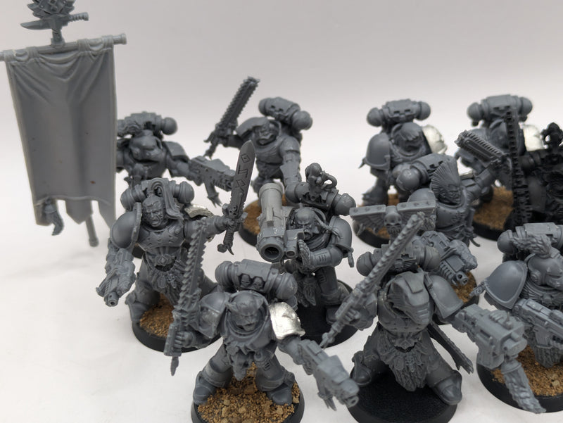 Warhammer 40k: Space Marine Space Wolves Grey Hunters (AE089)