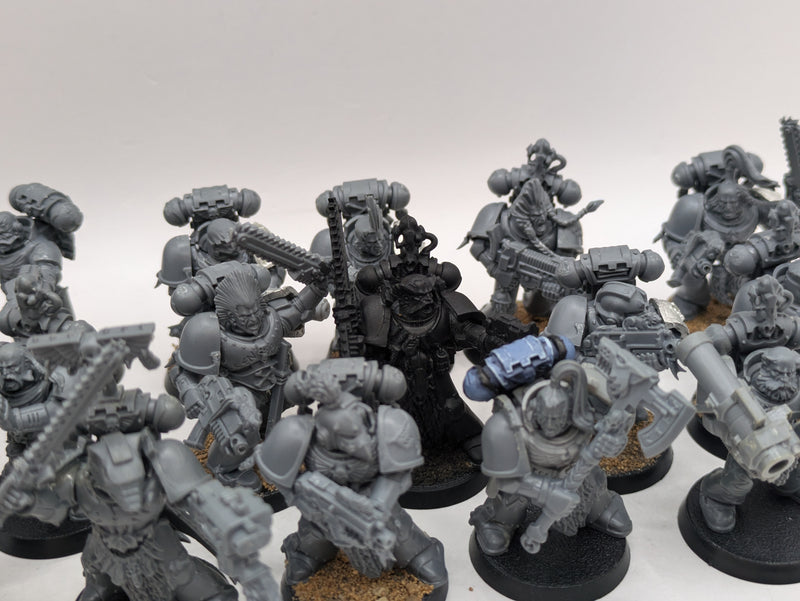 Warhammer 40k: Space Marine Space Wolves Grey Hunters (AE089)