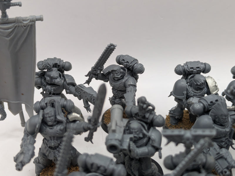 Warhammer 40k: Space Marine Space Wolves Grey Hunters (AE089)