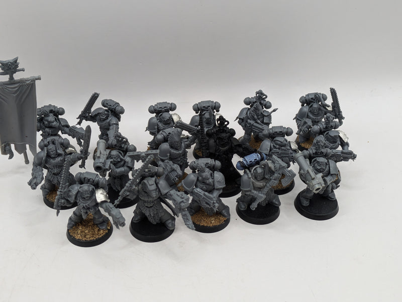 Warhammer 40k: Space Marine Space Wolves Grey Hunters (AE089)