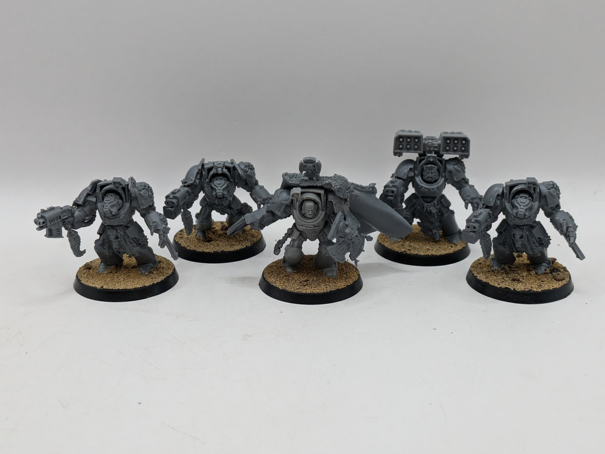 Warhammer 40k: Space Marine Space Wolves Wolf Guard