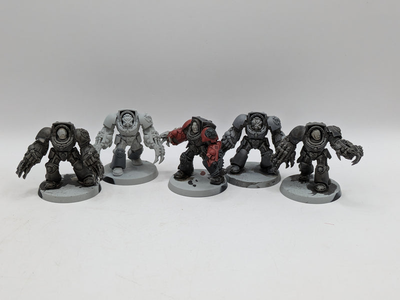 Warhammer 40k: Space Marine Terminators (AA115)