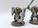 Warhammer 40k: Astra Militarum Bullgryns (AH107)