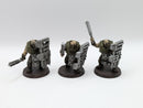 Warhammer 40k: Astra Militarum Bullgryns (AA145)