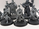 Warhammer 40k: Adeptus Custodes Custodian Guard and Sisters of Silence Kill Team (AI245)
