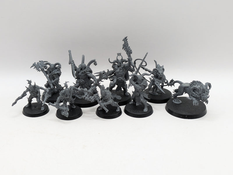 Warhammer Age of Sigmar: Slaves to Darkness Untamed Beasts (AZ069)