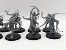 Warhammer 40k: Adepta Sororitas Arco-Flagellants (AJ066)