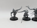 Warhammer 40k: Adepta Sororitas Arco-Flagellants (AJ066)