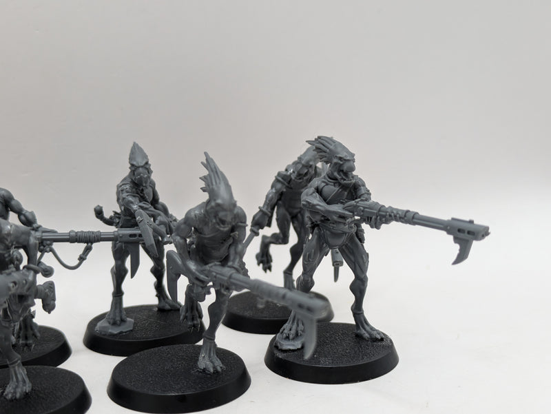 Warhammer 40k: T'au Empire Kroot Carnivores (AE003)