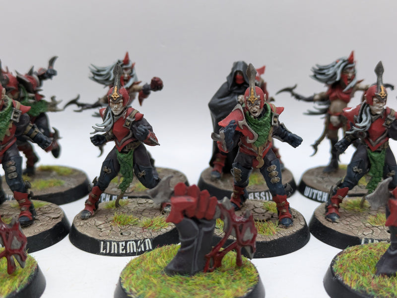 Warhammer Blood Bowl: Dark Elf Team Naggaroth Nightmares - Well Painted (AT098)