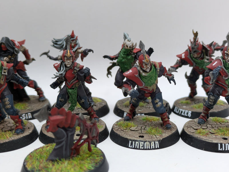 Warhammer Blood Bowl: Dark Elf Team Naggaroth Nightmares - Well Painted (AT098)