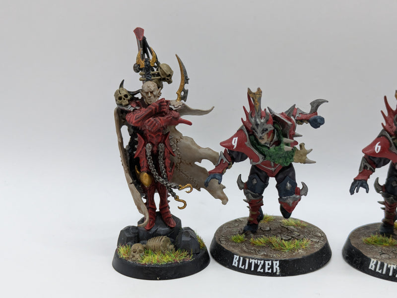 Warhammer Blood Bowl: Dark Elf Team Naggaroth Nightmares - Well Painted (AT098)