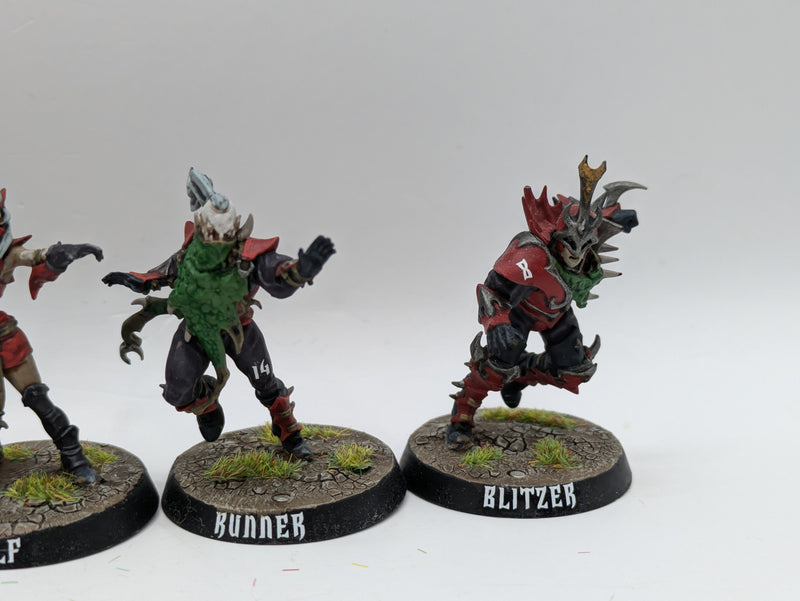 Warhammer Blood Bowl: Dark Elf Team Naggaroth Nightmares - Well Painted (AT098)