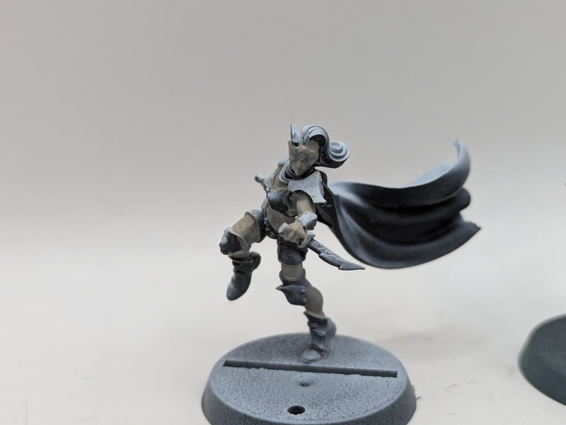 Warhammer Blood Bowl: Dark Elf Assassin and Star Player Roxanna Darknail (AA126)