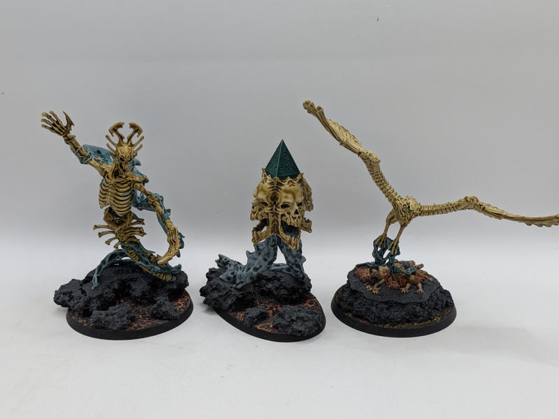 Warhammer Age of Sigmar: Ossiarch Bonereapers Endless Spells - Well Painted (BF061)