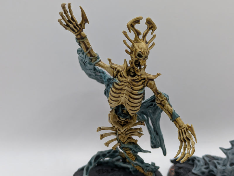 Warhammer Age of Sigmar: Ossiarch Bonereapers Endless Spells - Well Painted (BF061)