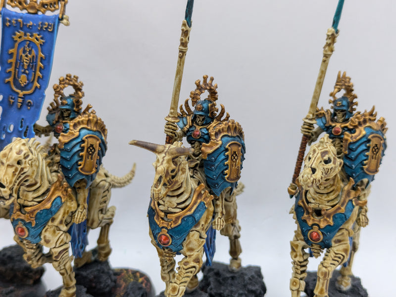 Warhammer Age of Sigmar: Ossiarch Bonereapers Kavalos Deathriders - Well Painted (AX081)