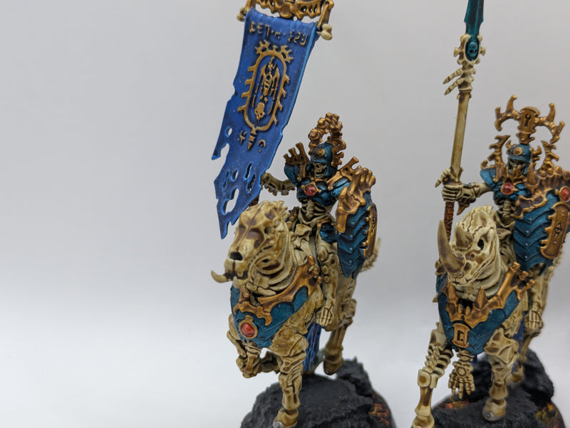 Warhammer Age of Sigmar: Ossiarch Bonereapers Kavalos Deathriders - Well Painted (BF056)