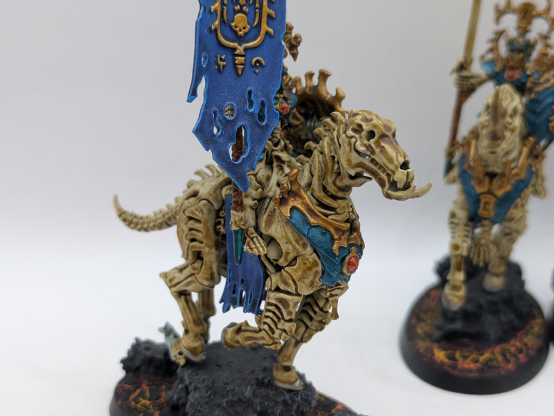 Warhammer Age of Sigmar: Ossiarch Bonereapers Kavalos Deathriders - Well Painted (BF056)