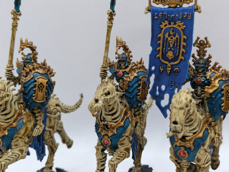 Warhammer Age of Sigmar: Ossiarch Bonereapers Kavalos Deathriders - Well Painted (BF011)