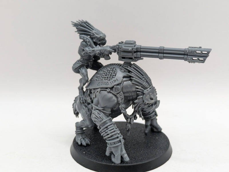 Warhammer 40k: T'au Empire Krootox Rider (AW075)