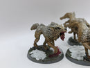 Warhammer 40k: Space Marines Space Wolves Fenrisian Wolves (AA147)