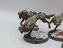 Warhammer 40k: Space Marines Space Wolves Fenrisian Wolves (AA147)